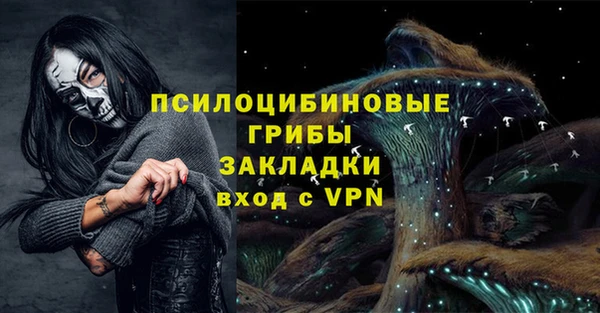 кокс Баксан
