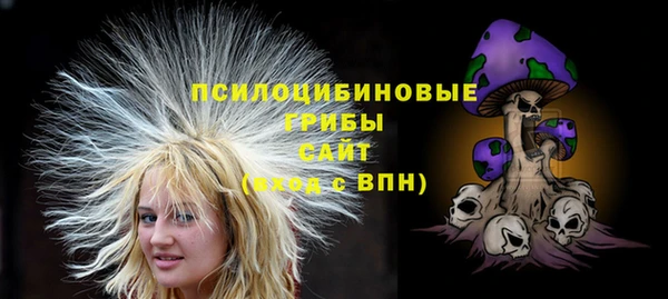 кокс Баксан