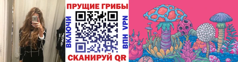 дарнет шоп  MEGA сайт  Псилоцибиновые грибы Psilocybine cubensis  Сим 